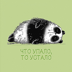 Notes - Zmęczona panda (kratka)