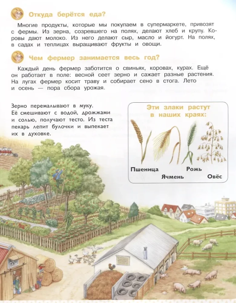 Kaip sutvarkyta žmonių gyvenimas. Enciklopedija ikimokyklinukams su linksmu noenotu