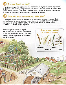 Kaip sutvarkyta žmonių gyvenimas. Enciklopedija ikimokyklinukams su linksmu noenotu