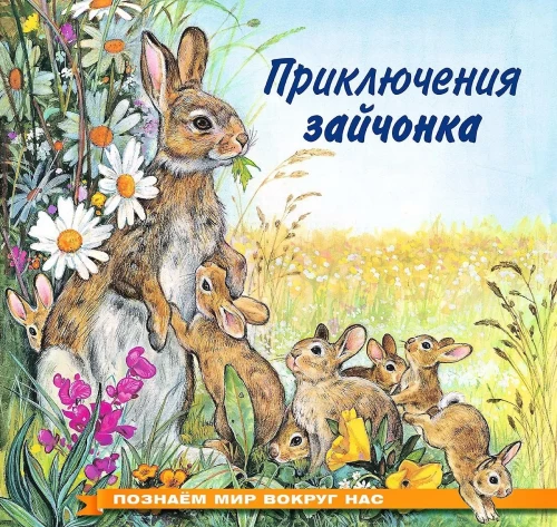 Przygody zajączka
