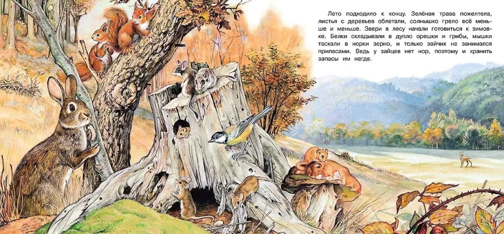Przygody zajączka