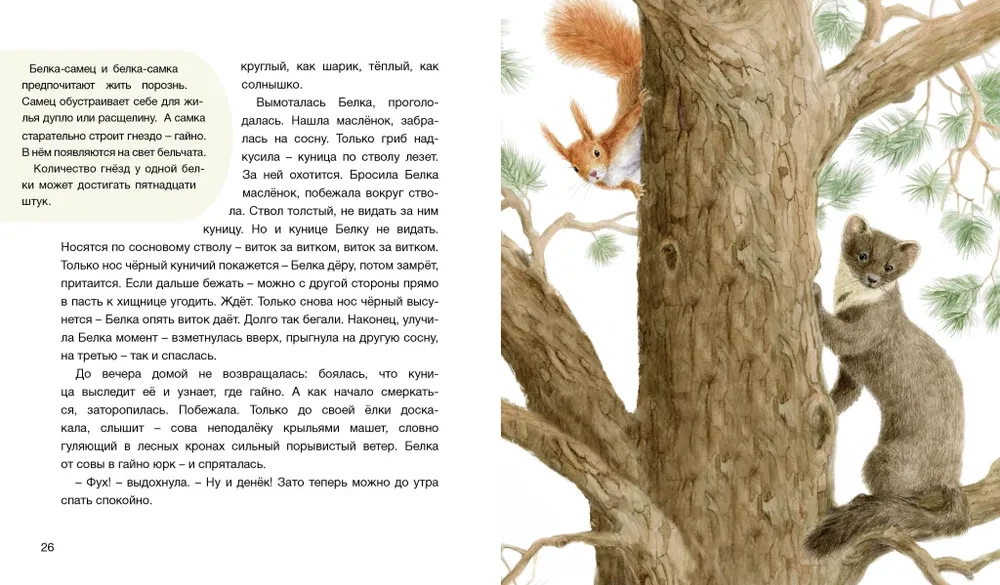 Der Wald erzählt Märchen