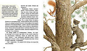Der Wald erzählt Märchen