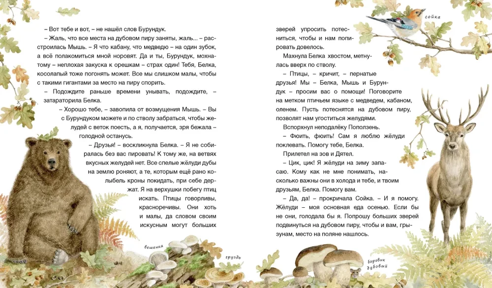 Der Wald erzählt Märchen