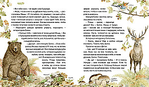 Der Wald erzählt Märchen