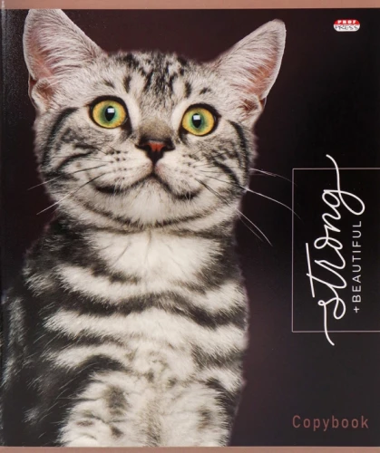 Notebook - Noble Cats, A5, 48 sheets, grid, assorted