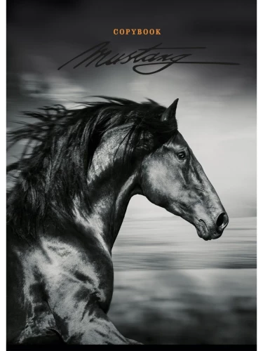 A4 Notebook - Horse Profile (Grid)