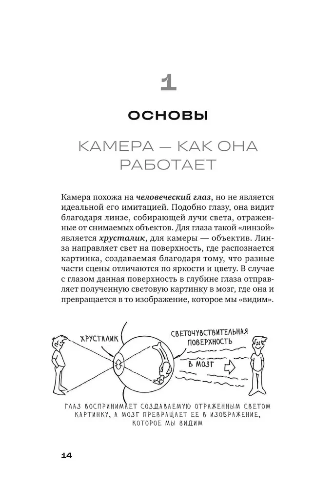Базовый курс: Операторское искусство. Учимся снимать на плёнку и цифру