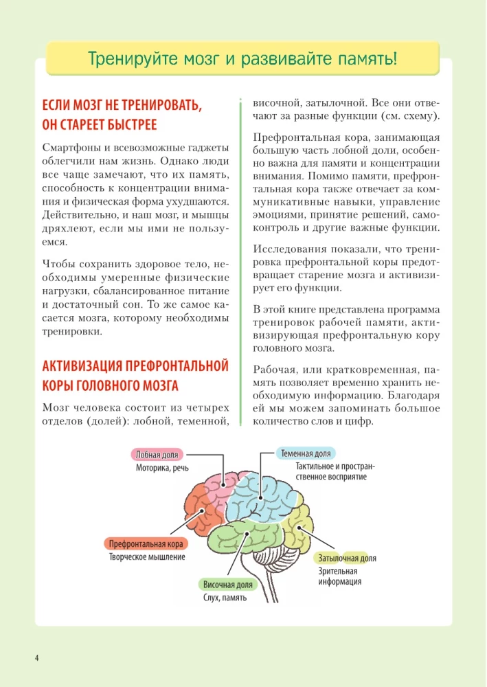 Make Your Brain Work. Effective Memory and Thinking Training at Any Age