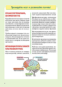 Make Your Brain Work. Effective Memory and Thinking Training at Any Age