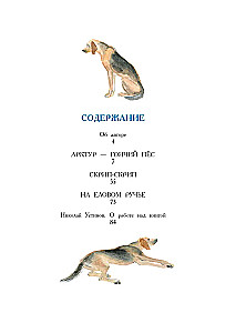 Арктур - гончий пёс