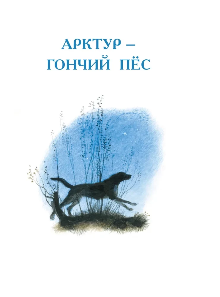 Арктур - гончий пёс