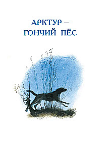 Арктур - гончий пёс