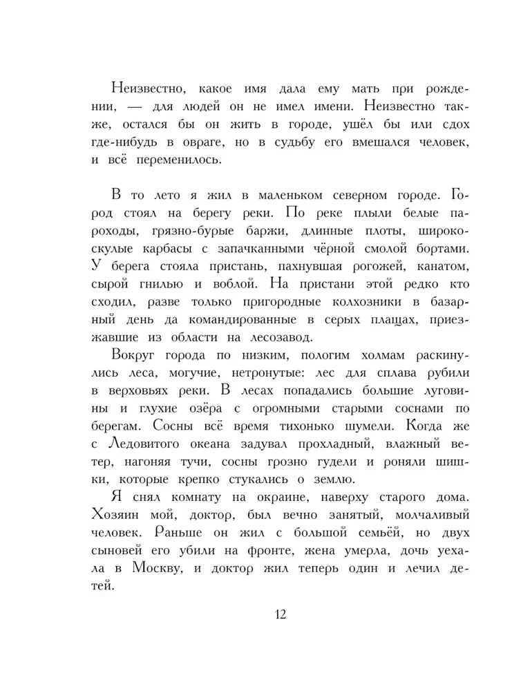 Арктур - гончий пёс