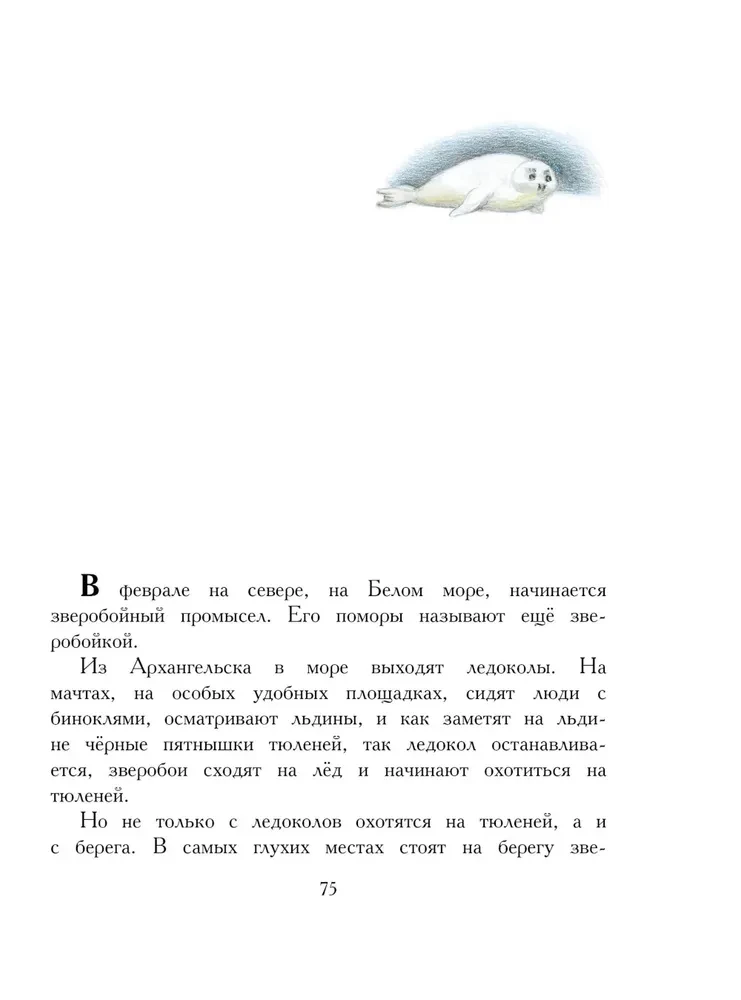 Арктур - гончий пёс
