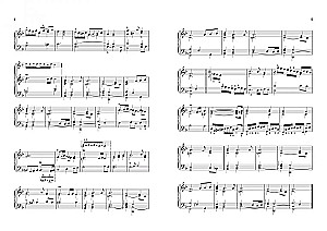 Jaunajam mūziķim-pianistam Hrestomātija bērnu mūzikas skolas audzēkņiem. 6. klase.