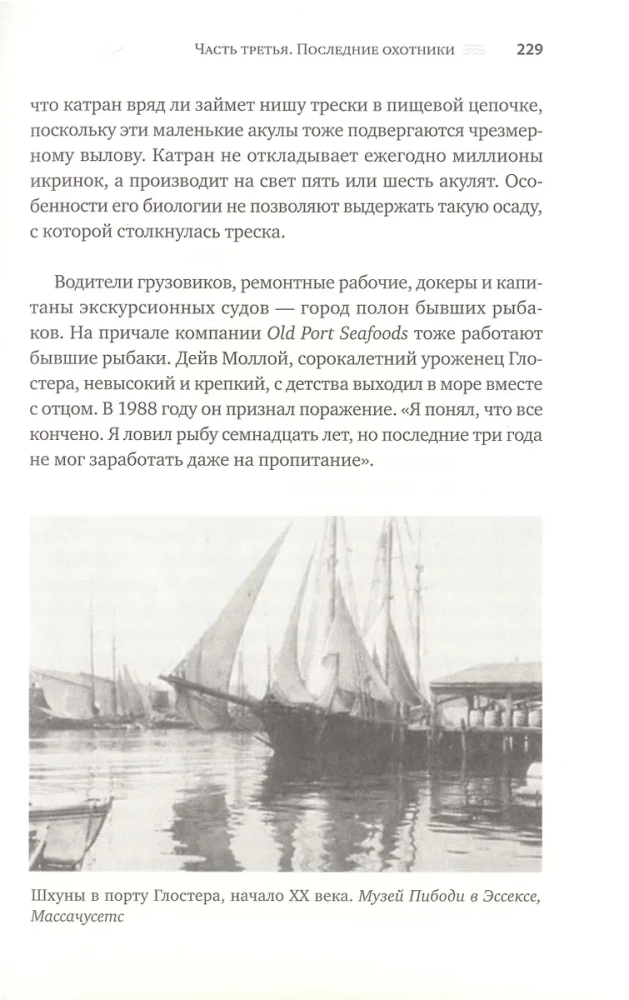 Dorsz