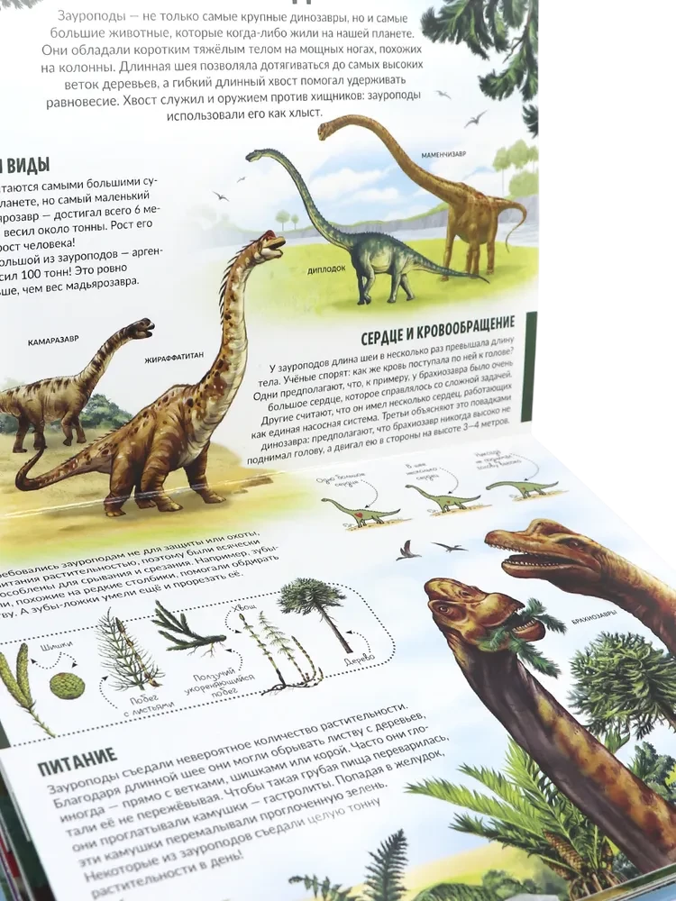 Dziecięca encyklopedia POP-UP. Dinozaury. Świat prehistorycznych zwierząt