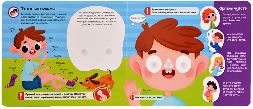 Książka z rzepami. Moje ciało