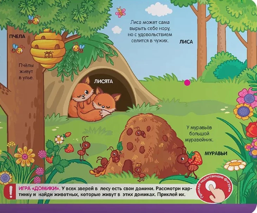 Buch mit Klettverschluss. Tierchen im Wald