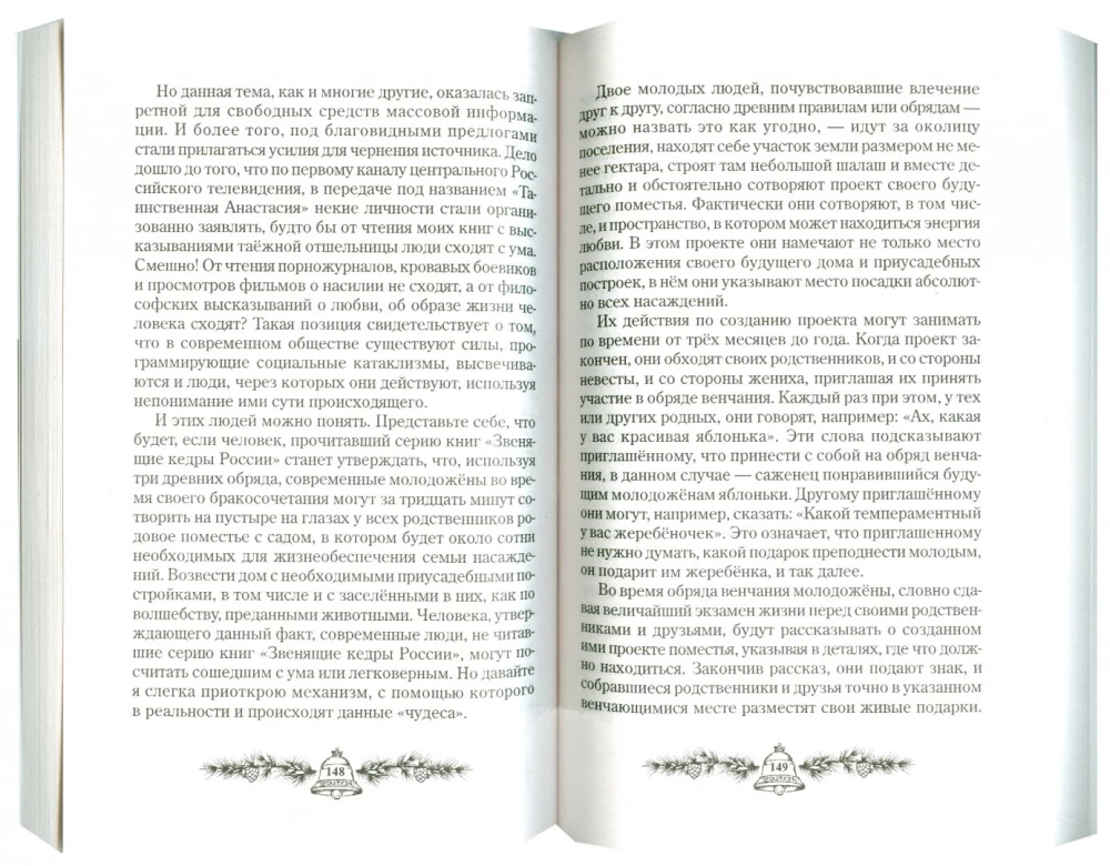 Анаста. Книга 10 (мягкая обложка)