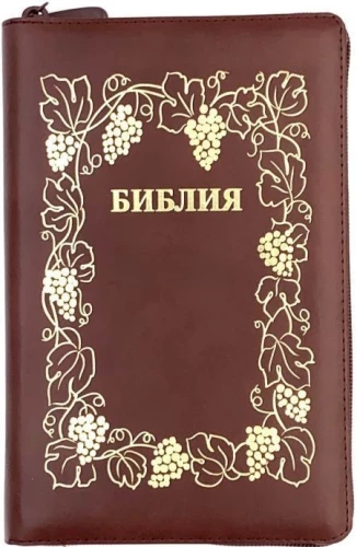 Die Bibel (kanonisch, mittleres Format)