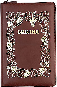 Piibel (kanoniline, keskmise formaadiga)