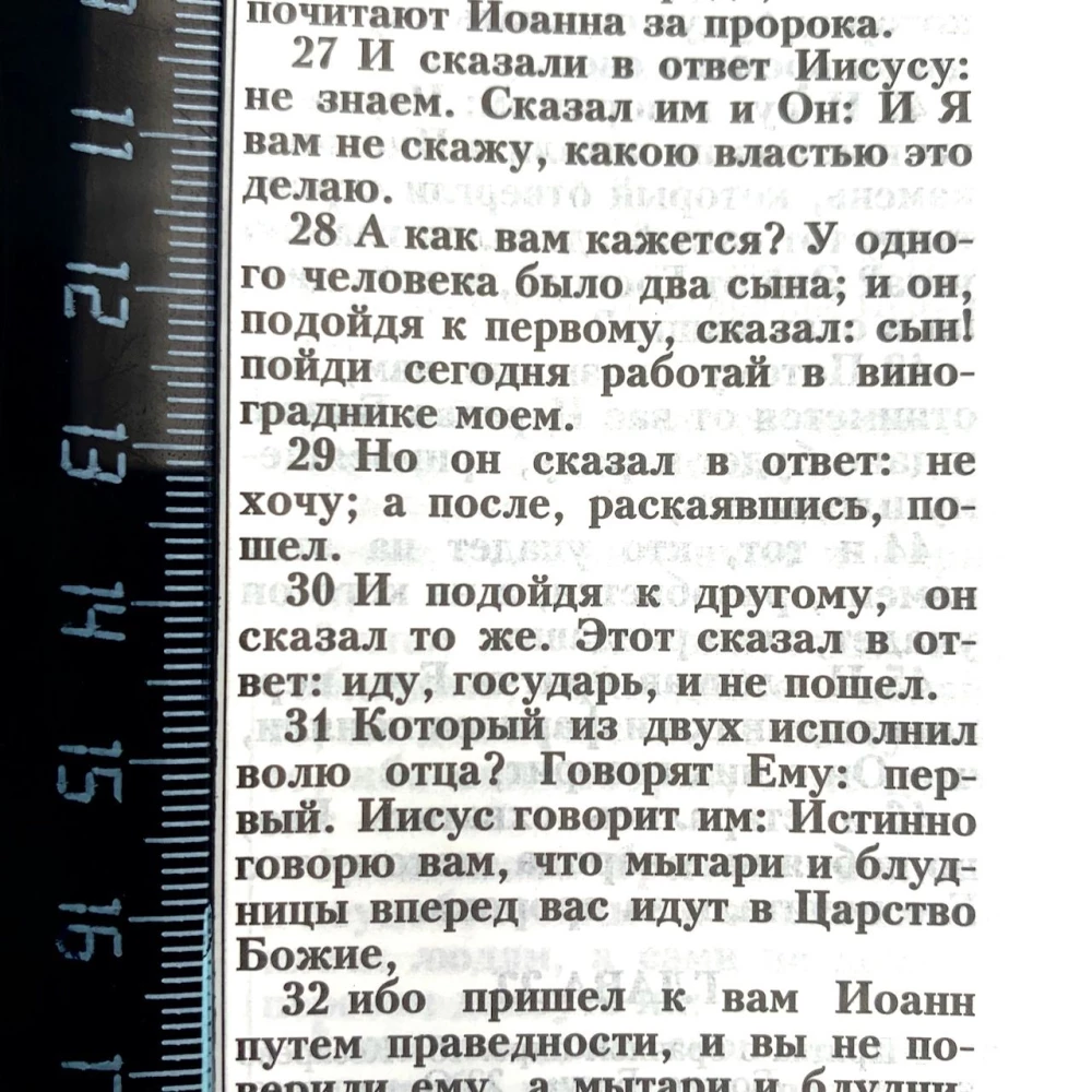 Piibel (kanoniline, keskmise formaadiga). Tuvi oksakesega