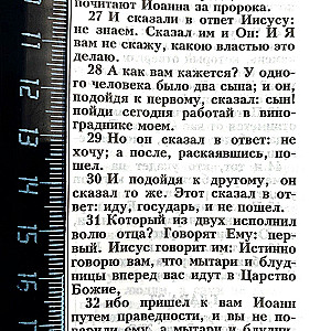 Piibel (kanoniline, keskmise formaadiga). Tuvi oksakesega
