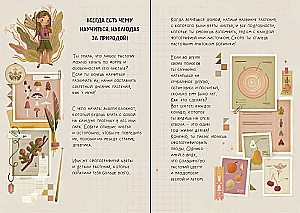 Didelis Dinosaurus dovanų