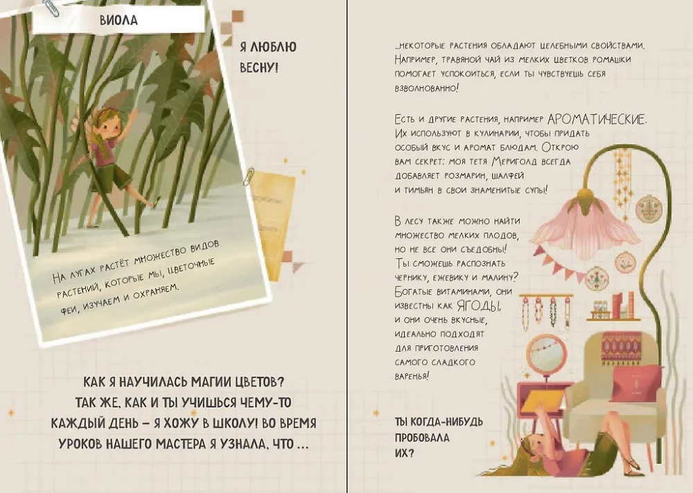 Fėjos stebuklingas dovana