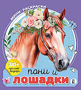 Ponių ir arkliukų