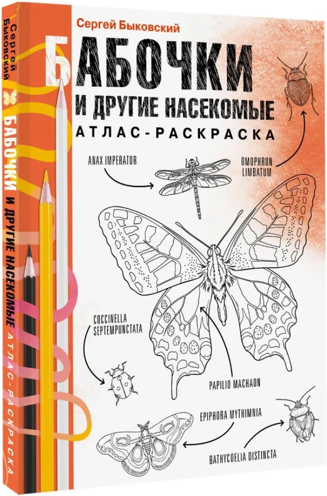 Schmetterlinge und andere Insekten. Atlas-Ausmalbuch
