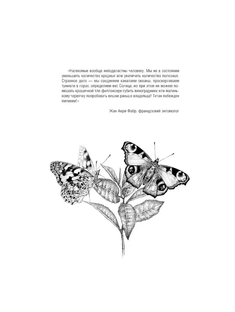 Schmetterlinge und andere Insekten. Atlas-Ausmalbuch