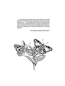 Schmetterlinge und andere Insekten. Atlas-Ausmalbuch