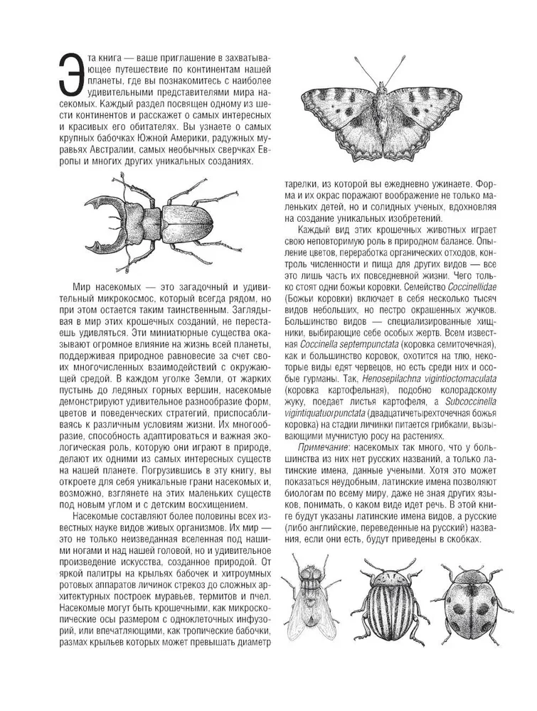 Schmetterlinge und andere Insekten. Atlas-Ausmalbuch