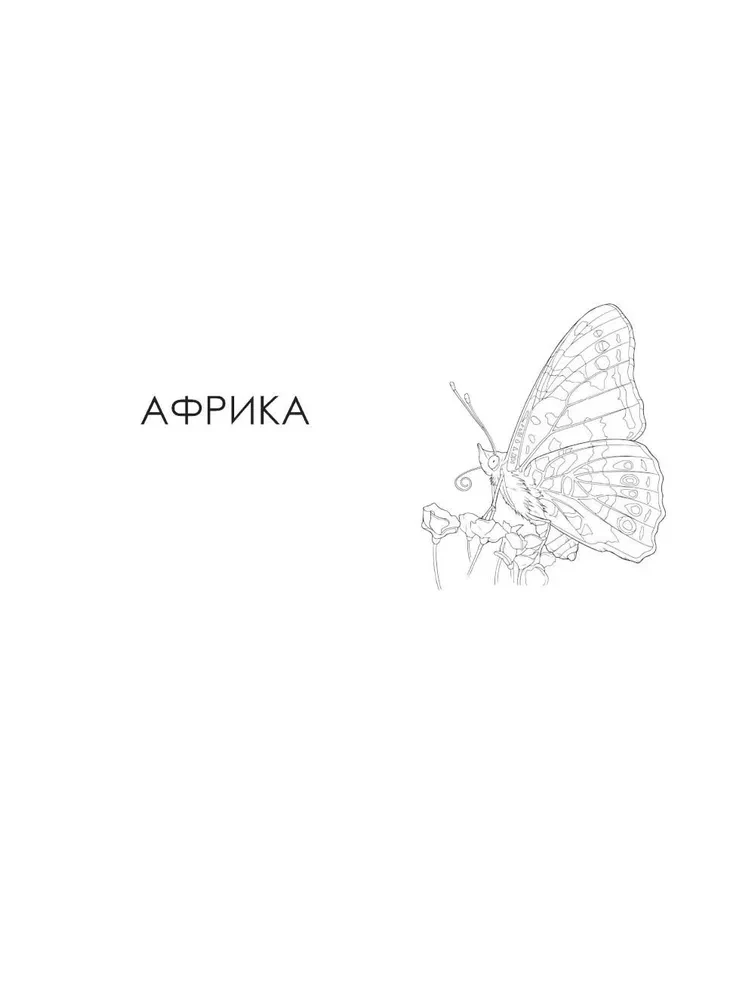 Schmetterlinge und andere Insekten. Atlas-Ausmalbuch