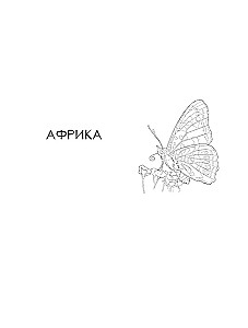 Schmetterlinge und andere Insekten. Atlas-Ausmalbuch