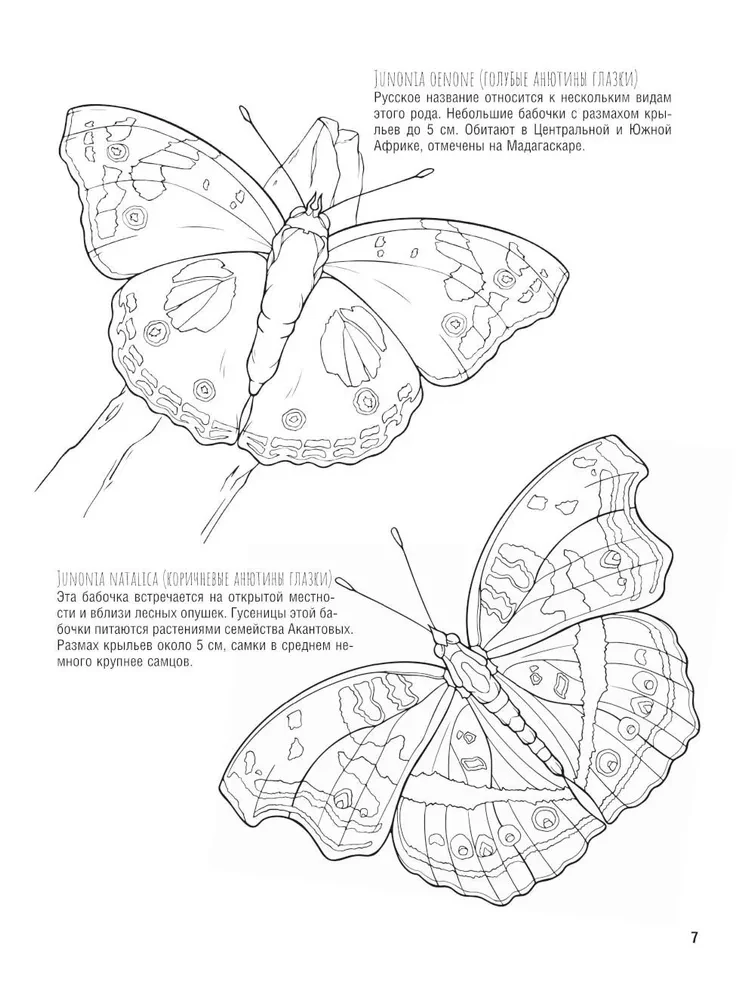 Schmetterlinge und andere Insekten. Atlas-Ausmalbuch