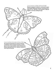 Schmetterlinge und andere Insekten. Atlas-Ausmalbuch