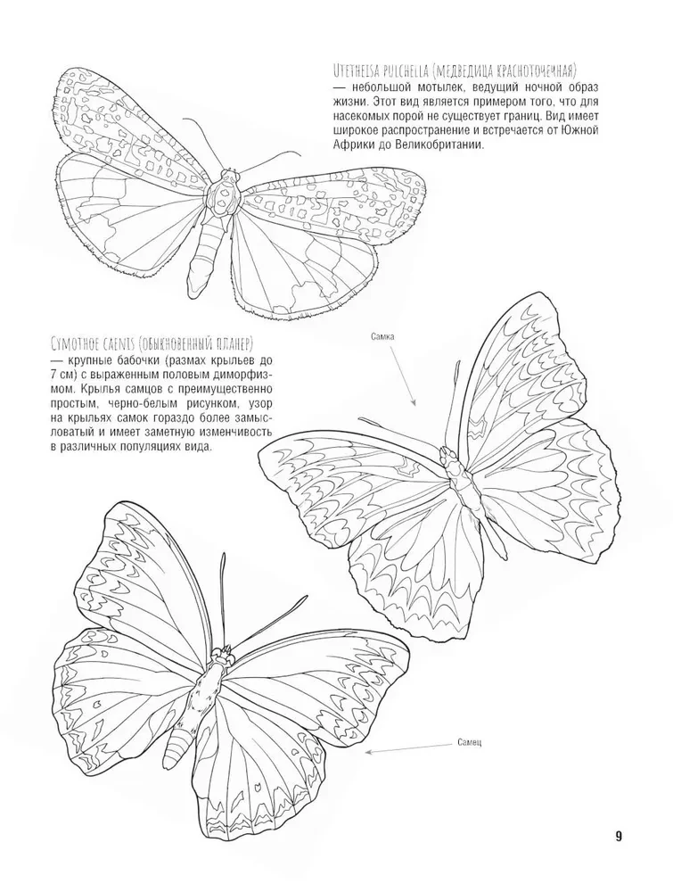 Schmetterlinge und andere Insekten. Atlas-Ausmalbuch