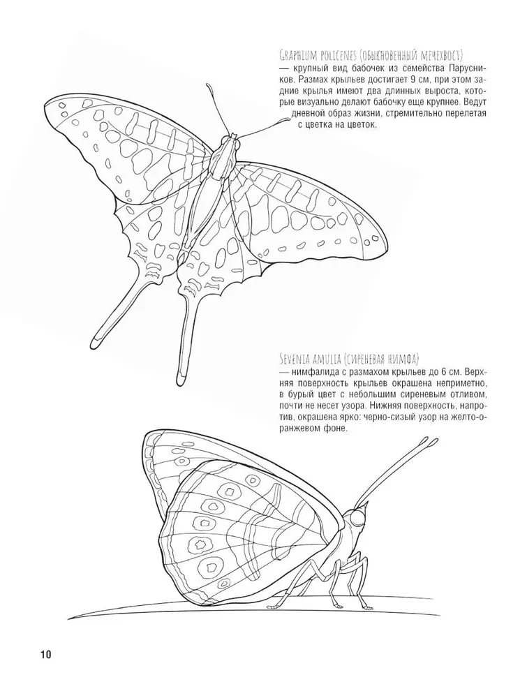 Schmetterlinge und andere Insekten. Atlas-Ausmalbuch