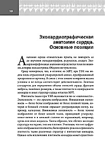 Echokardiografija pradžiai. Hemodinaminiai sutrikimai, analizės pozicijos, defekto sunkumo nustatymas