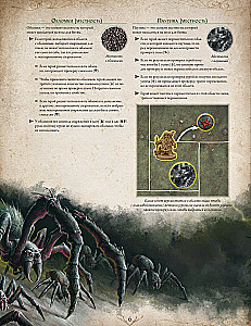 Brettspiel - Der Herr der Ringe. Reisen im Mittelerde. Dunkle Pfade (Erweiterung)