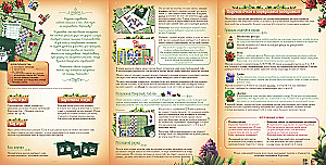 Brettspiel - Alice's Garten