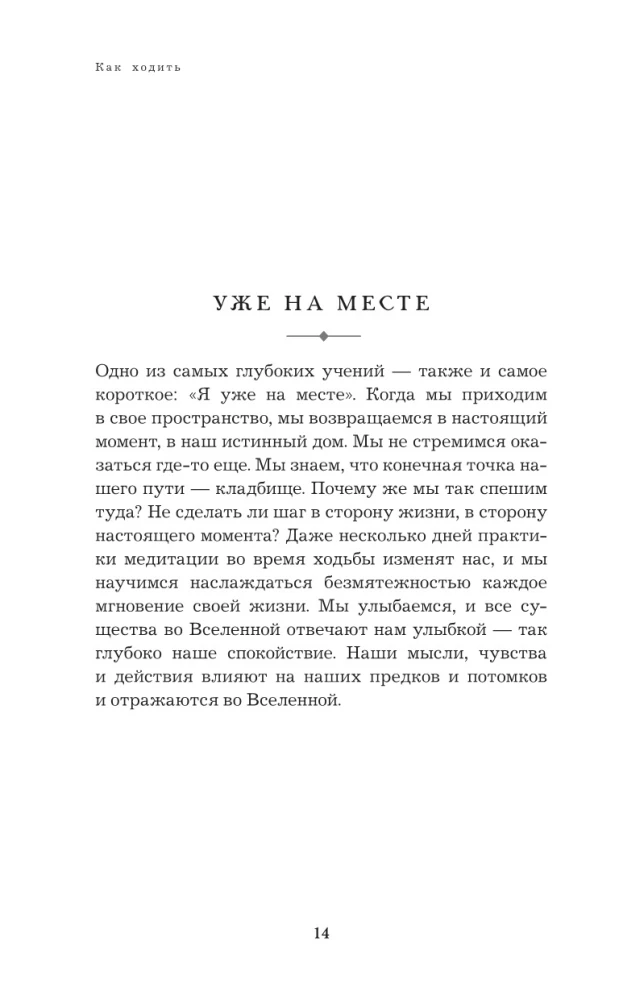 Kelias į džiaugsmą. Thich Nhat Hano mokymas apie sąmoningą gyvenimą. Valgyk, vaikščiok, sėdėk, mylėk, ilsėkis sąmoningai