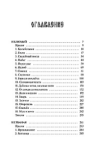 Svešs svešinieks