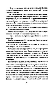 Svešs svešinieks