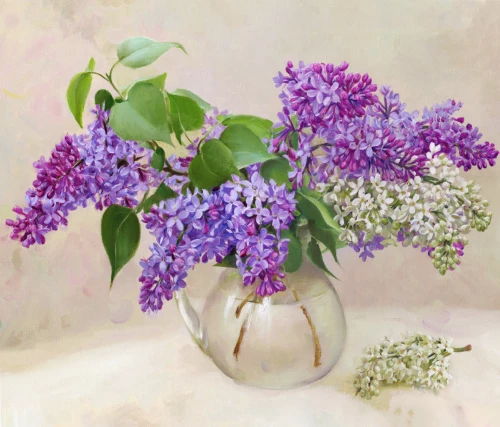 Paint by numbers - Elderberry. Lilac branches