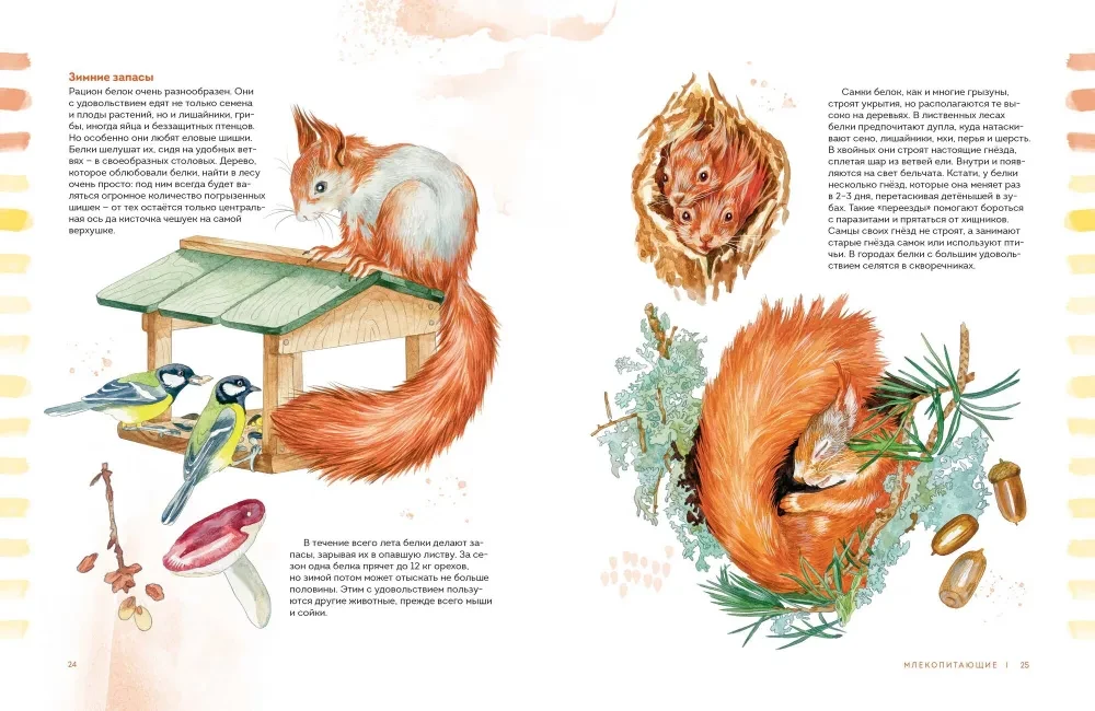 Animals in the City. Where to Find Them and How to Recognize Them